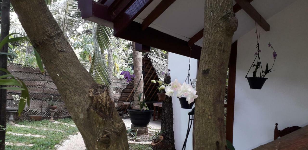 Yaluwa Tourist Rest & Cooking Class Anuradhapura Exterior foto